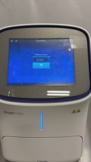 Invitrogen iBright FL1500 Imaging System