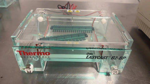 Thermo Owl EasyCast B2 Mini Gel Electrophoresis System, Model B2-BP