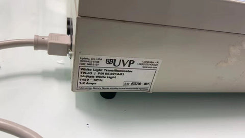 UVP White Light Transilluminator TW-43