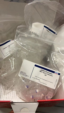 RNeasy Plus Micro Kit (50), Cat. No. / ID: 74134