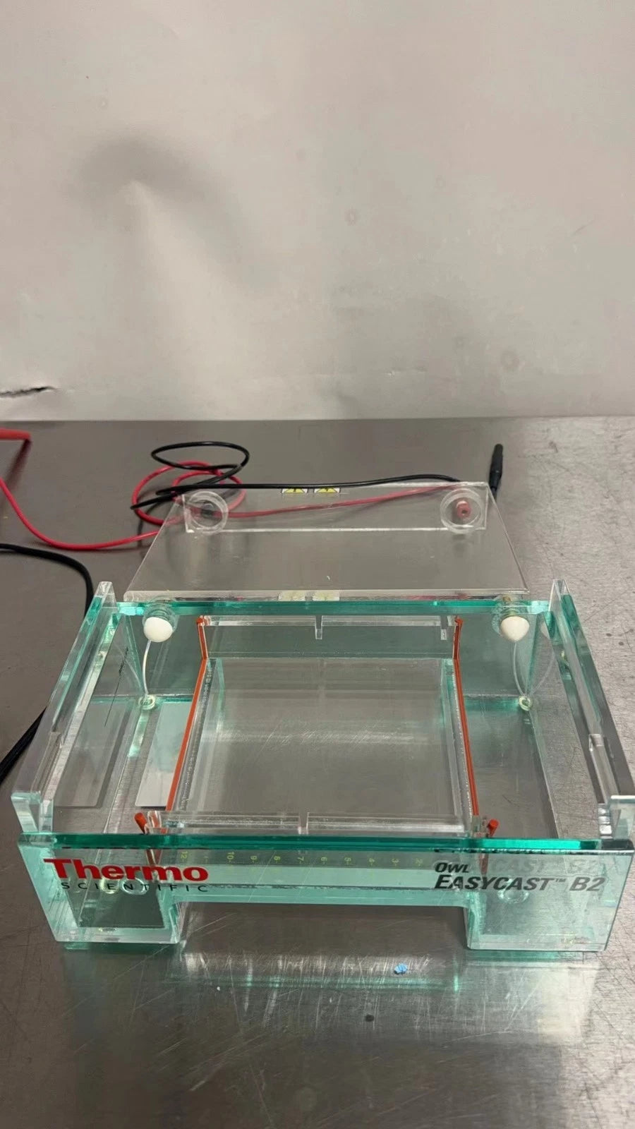 Owl EasyCast B2 Mini Gel Electrophoresis System, Model B2