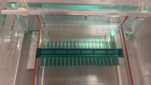 Thermo Owl EasyCast B2 Mini Gel Electrophoresis System, Model B2-BP