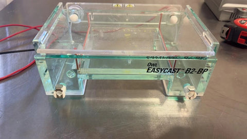Thermo Owl EasyCast B2 Mini Gel Electrophoresis System, Model B2-BP