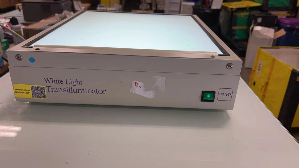 UVP White Light Transilluminator TW-43