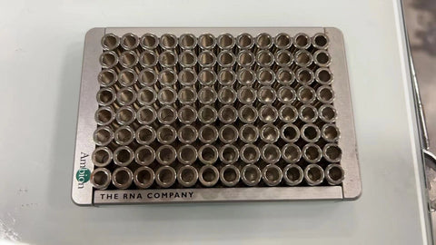 Thermo Invitrogen Ambion 96-well Magnetic-Ring Stand AM10050 Affinity Separation