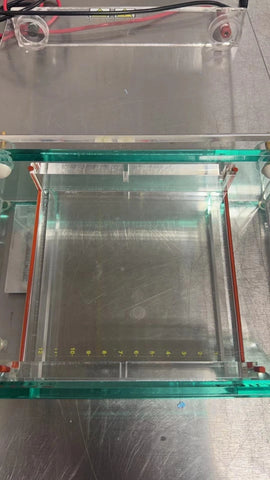 Owl EasyCast B2 Mini Gel Electrophoresis System, Model B2