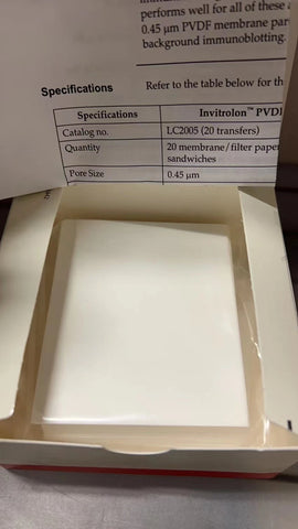 Invitrogen LC2005 PVDF Filter Paper Sandwich 0.45 µm, 8.3 x 7.3 cm (20/Pk)
