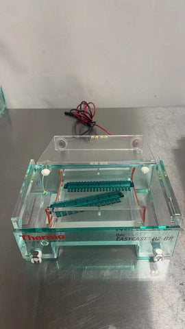 Thermo Owl EasyCast B2 Mini Gel Electrophoresis System, Model B2-BP