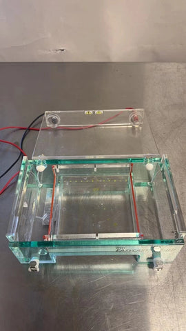 Thermo Owl EasyCast B2 Mini Gel Electrophoresis System, Model B2-BP