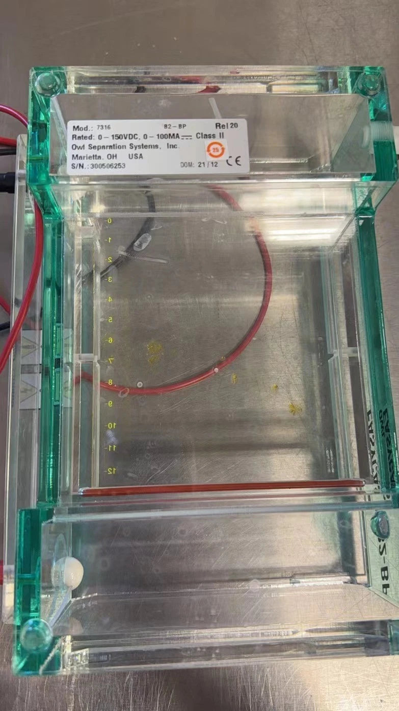 Thermo Owl EasyCast B2 Mini Gel Electrophoresis System, Model B2-BP